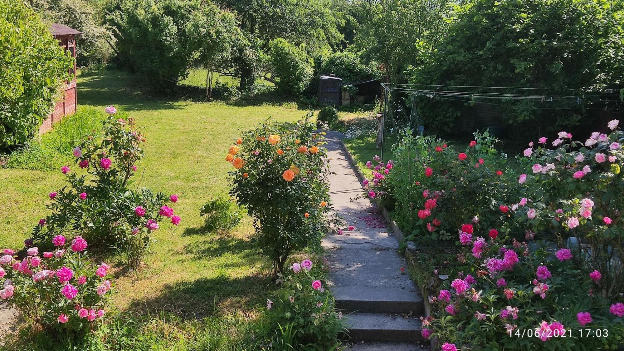 Le Petit Moulin Rouge, B&B, Sdb En-Suite, Parking Prive Gratuit Beauvoir  Exterior photo